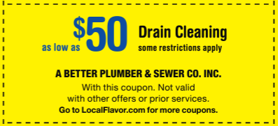 Drain Cleaning Special